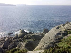 5 sentidos para disfrutar de una experiencia gastronómica inolvidable frente al mar