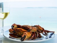 Marisco a domicilio: disfrute del sabor de Galicia en su casa