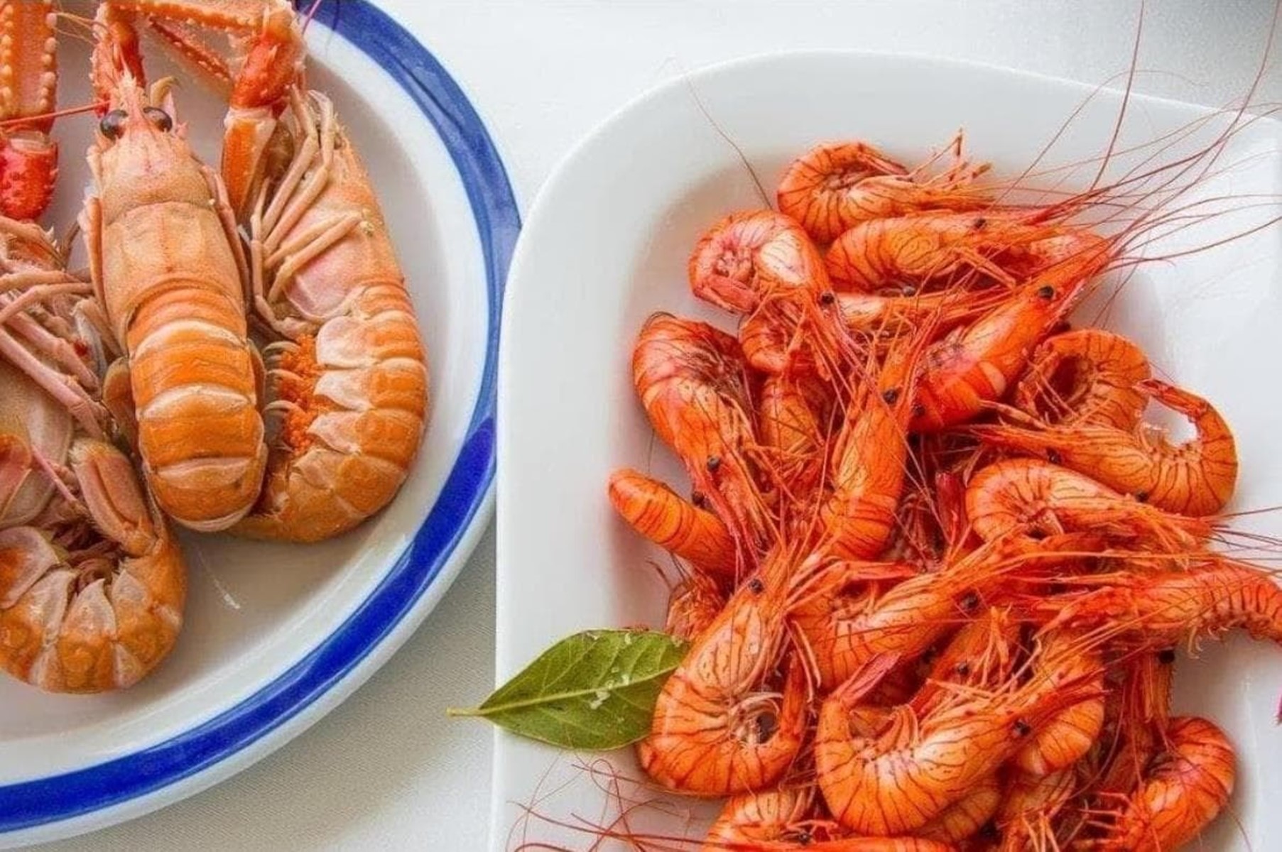 Promoción en envíos de marisco a Domicilio y Take Away